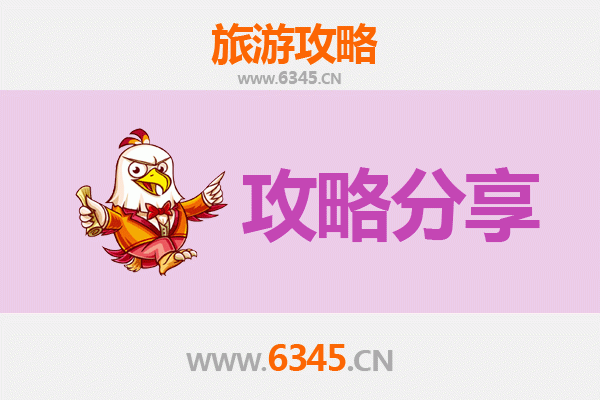 滨州博兴至湄洲岛旅游攻略：跟团还是自由行选择指南