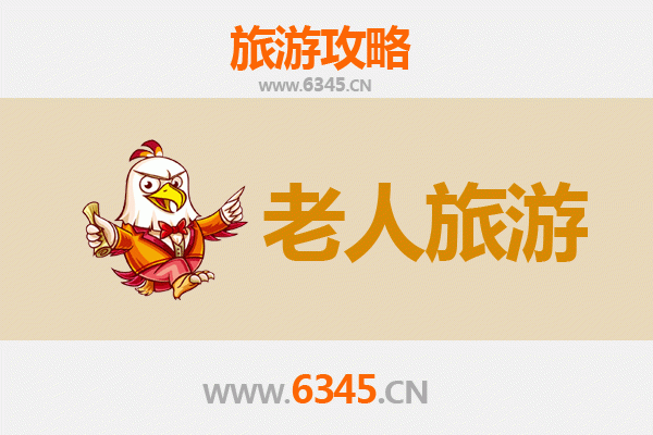 滨州博兴银龄漫游：舒心慢旅，孝亲之选